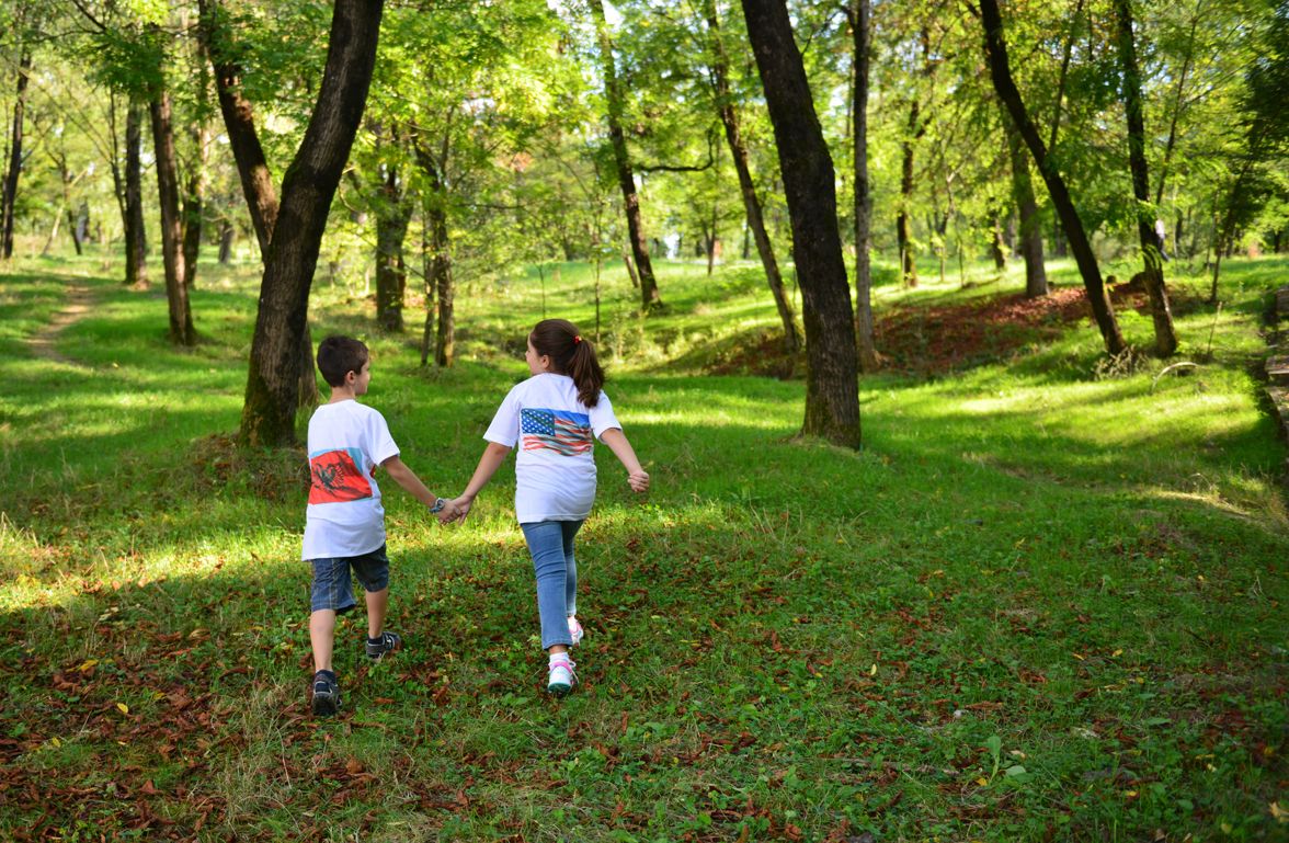 [Albania] Albanian-American Development Foundation